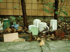 -重庆工商大学(南岸校区)