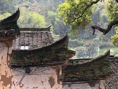 -杨家堂村