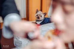 -格乐利雅婚礼艺术中心(南外滩店)