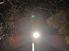 -竹里馆 ·茶食(奥体店)