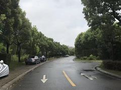 -上海浦东嘉里大酒店