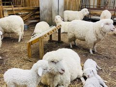 -OUR Bakery(SKP-S店)