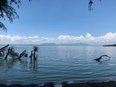-捞渔河湿地公园
