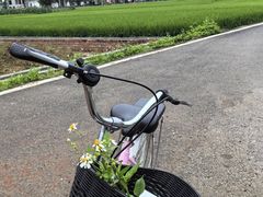 -明仕田园