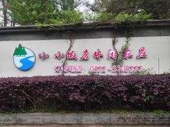 -小小饭店·休闲农庄·安吉松树林里的农家菜