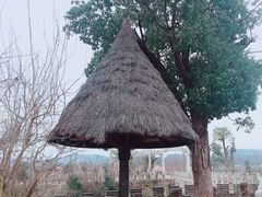 -道林古镇