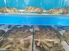 -芽庄老成都川菜馆