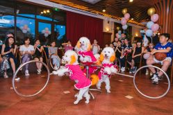 -派对猴生日派对策划