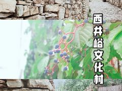 -晨汐石苑·清真菜农家院