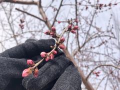 -大兴滨河森林公园