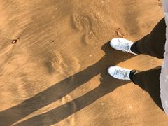 -普陀山风景名胜区-千步大沙