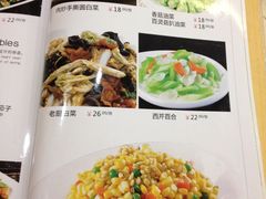 -天津医科大学第二医院