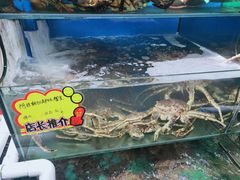 -蚝专家(北滘店)