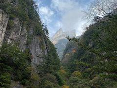 -青峰峡国家森林公园