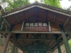-海南槟榔谷黎苗文化旅游区