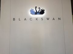 -BLACKSWAN黑天鹅(环球店)
