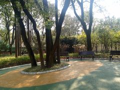 -徐家汇源景区-衡山公园
