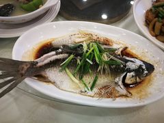 -海晖酒楼·顺德鱼生(荣华店)