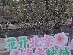 -元大都城垣遗址公园