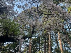 -瑞凤殿(Grave of Date Masamune)