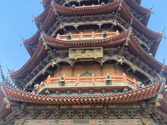 -葛仙湖公园