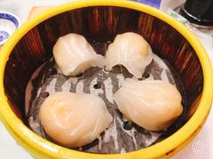 虾饺皇-双喜老铺(人民广场店)