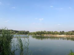 -马家湾湿地公园