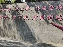 -广州市帽峰山景区