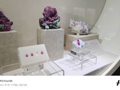 -安徽省地质博物馆