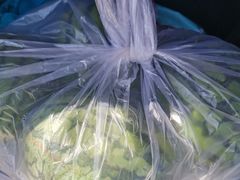 -庞各庄翠芳园西瓜蔬菜基地采摘园