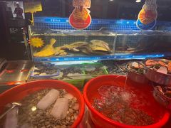 -即墨老公社·海肠捞饭大王(古城店)