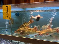 -虾饺妹·酒家(海珠广场店)