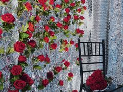 -西安电影制片厂