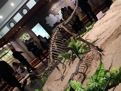 -自贡恐龙博物馆
