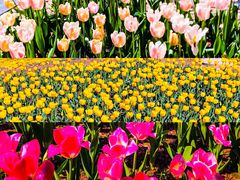 -石家庄市植物园