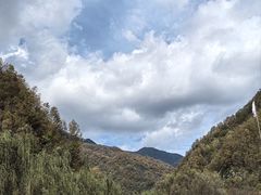 -牛背梁国家森林公园