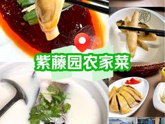 -紫藤园·天目湖大鱼头(南山竹海店)