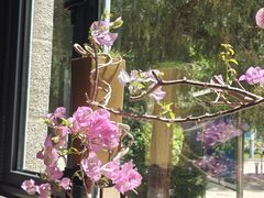 -王府茶楼茶宴·创意菜(朝阳公园店)