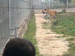 -东莞香市动物园