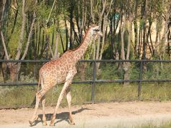 -鄂尔多斯野生动物园