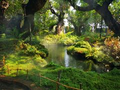 -Chom Cafe and Restaurant