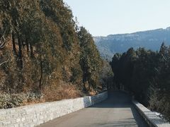 -佛慧山
