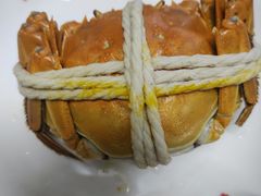 -阳澄湖大闸蟹·琼灵阁牌品牌连锁(吴中总店)