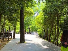 -溱湖国家湿地公园