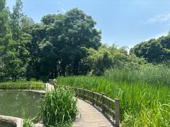 -成都市活水公园