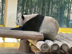 -杭州野生动物世界