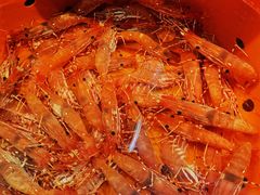 -海九澎湖海鲜餐厅