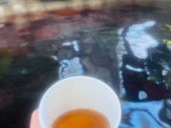 -中家鑫园温泉酒店鑫悦汤泉