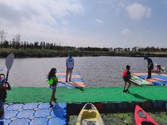 -春花秋色城市公园