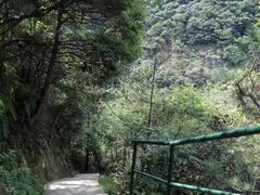 -宁波五龙潭景区